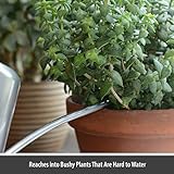 CKB Ltd® Gießkanne 1,1 l - 4