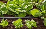 Gardena 1346-20 Micro-Drip-System Verlegerohr 13 mm (1/2″), 15 m - 4