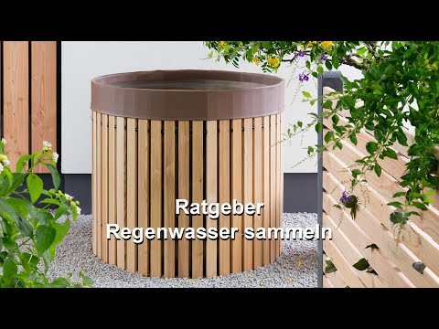 Ratgeber Regenwasser sammeln
