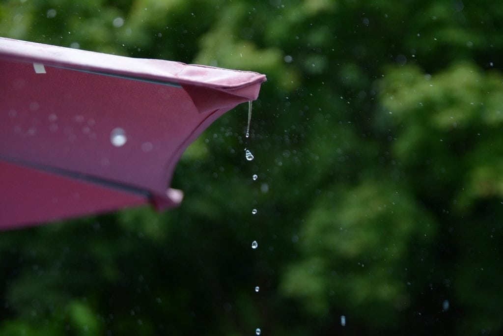 Wohin mit dem Abwasser? 1 Regenwasser selbst entsorgen und nutzen