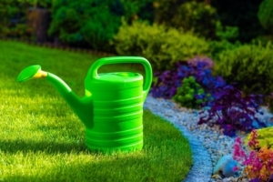 Gartenbewässerung 4 Gießkanne