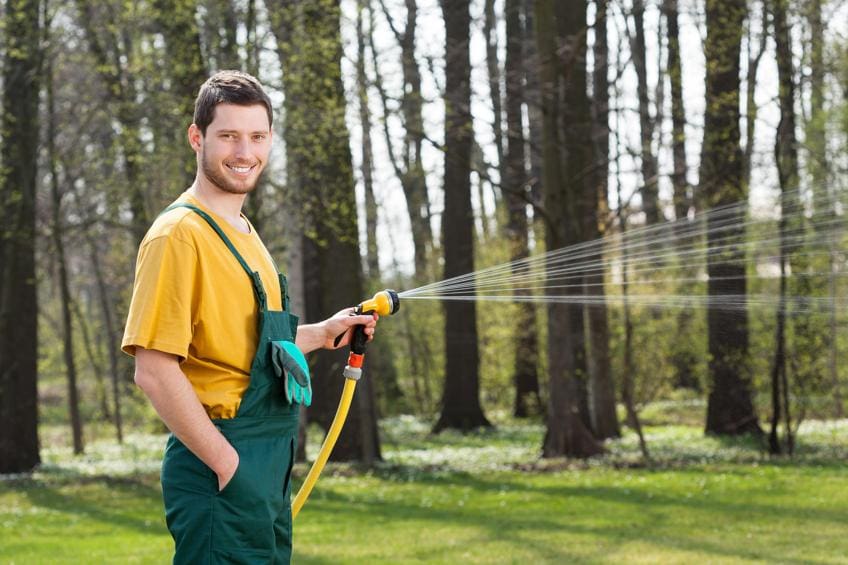 Rasen bewässern mit Gartenbrause