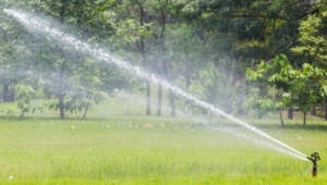 Gartenbewässerung 6 Rasenbewässerung