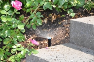 Damit er mehr Freude macht: Auch der Garten wird smart 2 Foto: BGL. - In vielen Gärten sind längst auch automatische Bewässerungssysteme installiert, die zum Beispiel immer am frühen Morgen anspringen, wenn die Wirkung auf die Pflanzen am besten ist.