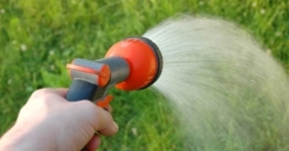 Gartenbrause für Rasenbewässerung Foto: kilukilu / shutterstock.com