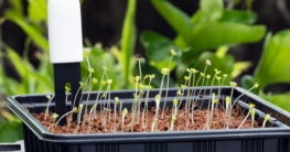 Mit einem Bodenfeuchtesensor kann die Bewässerung automatisiert werden