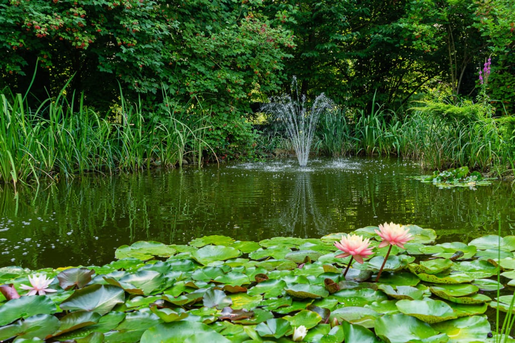 Teichpumpe 14 Gartenteich mit kleinem Wasserspiel