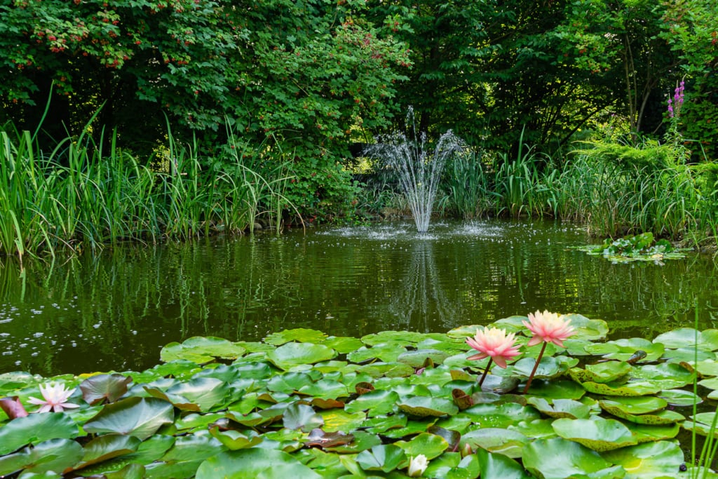 Gartenteich mit kleinem Wasserspiel