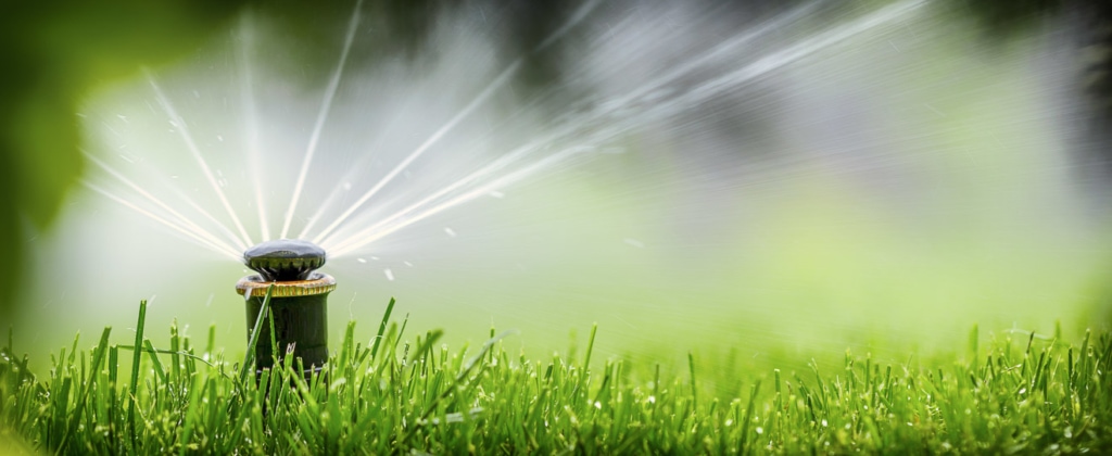 Gartenarbeiten im Juli 2 Sprühregner mit Erdspieß