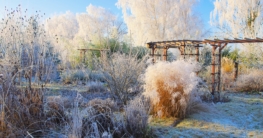 Garten im Winter