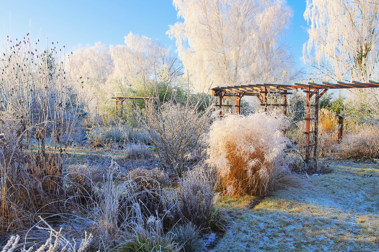 Garten im Winter