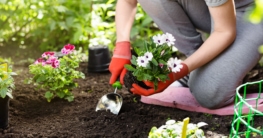 Gartenarbeiten im April