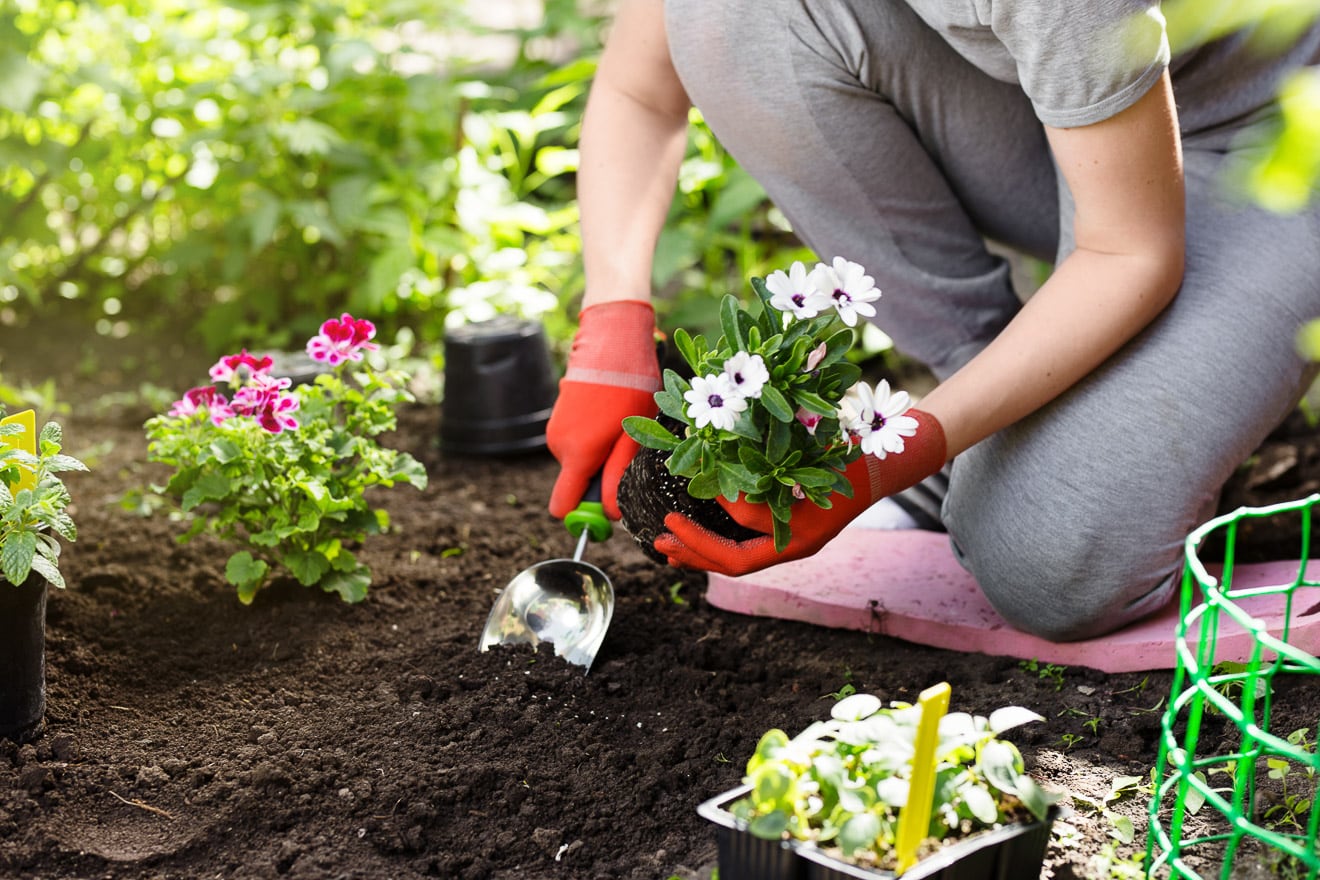 Gartenarbeiten im April