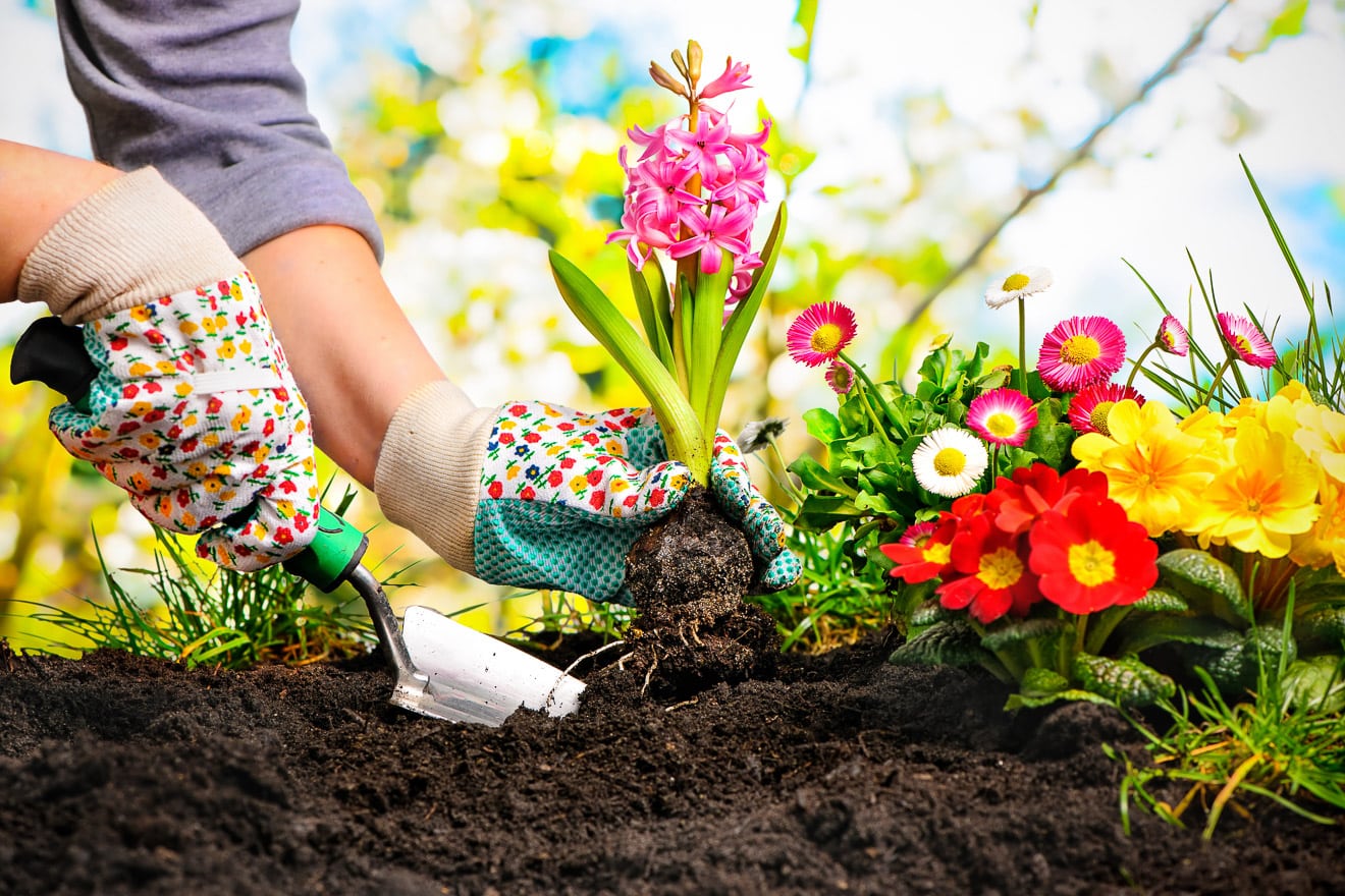 Gartenarbeiten im März