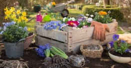 Gartenarbeiten im Jahr im Überblick mit dem Gartenkalender