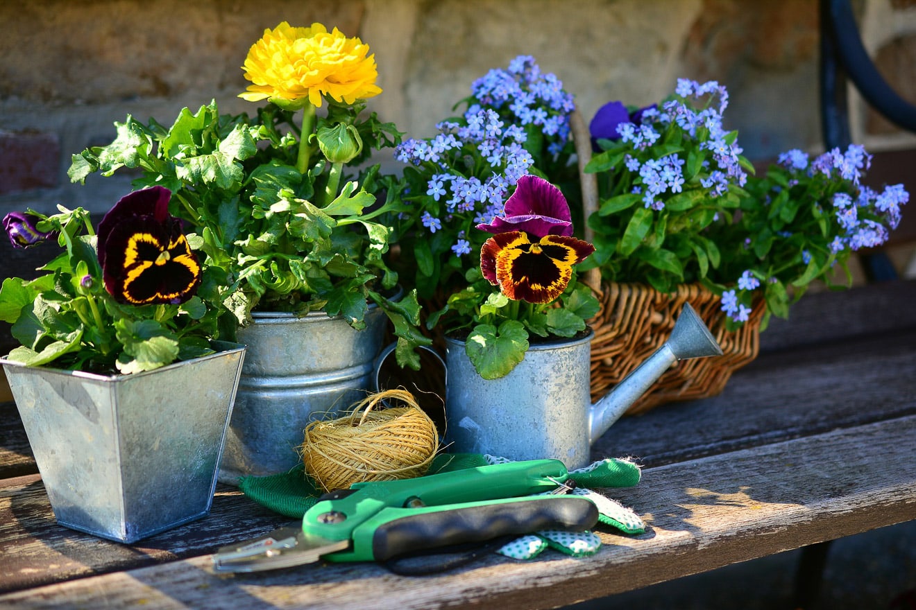 Gartenarbeiten im Mai