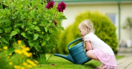 Gartenarbeiten im Juli