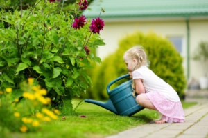 Gartenarbeiten im Juli