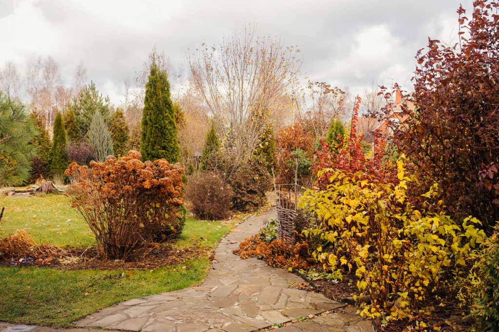 Gartenarbeiten im Oktober 1 Der Garten im Oktober