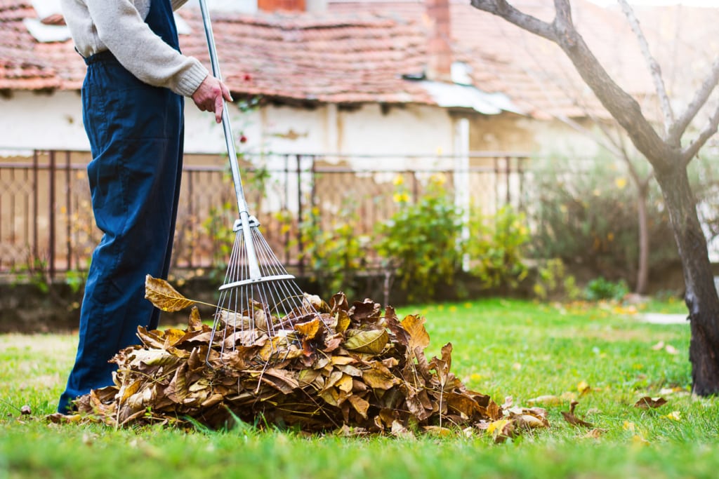 Gartenarbeiten im Oktober 2 Laub harken im Garten