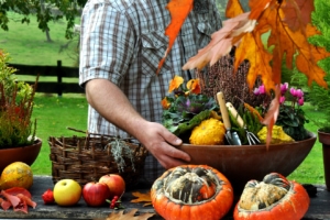 Gartenarbeiten im Oktober