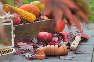 Gartenarbeiten im November