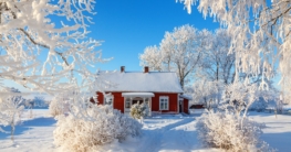 Gartenarbeiten im Januar
