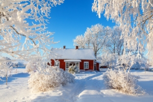 Gartenarbeiten im Januar