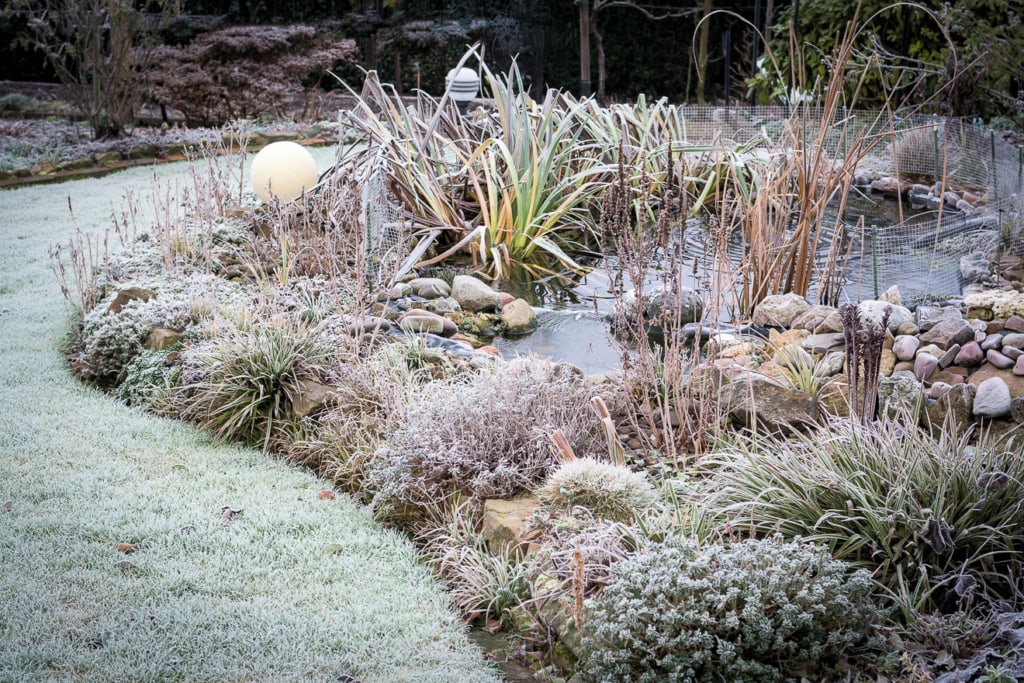 Teich vor Frost schützen