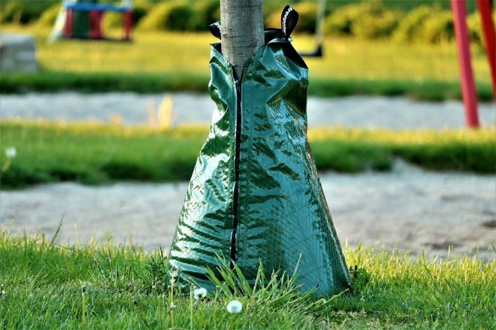 Bäume gießen: so bewässern Sie im eigenen Garten richtig? 3 Gießsack